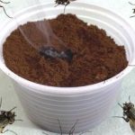 The Amazing Benefits of Castor Oil and Epsom Salt Combined