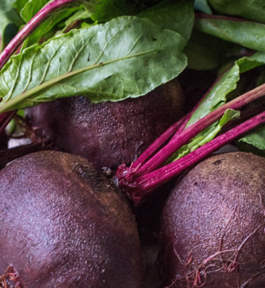 11 Reasons Why You Should Consume Beetroot Every Day!