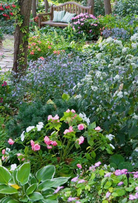 15 Beautiful Perennials That Grow In The Shade