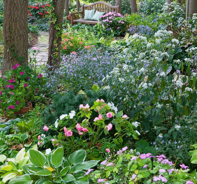 15 Beautiful Perennials That Grow In The Shade