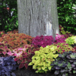 18 Perennial Veggies You Can Plant Once and Harvest For Years