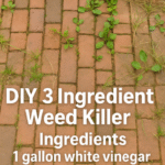 How to Clean Your Bathroom Floor (And Make It Smell Amazing!)