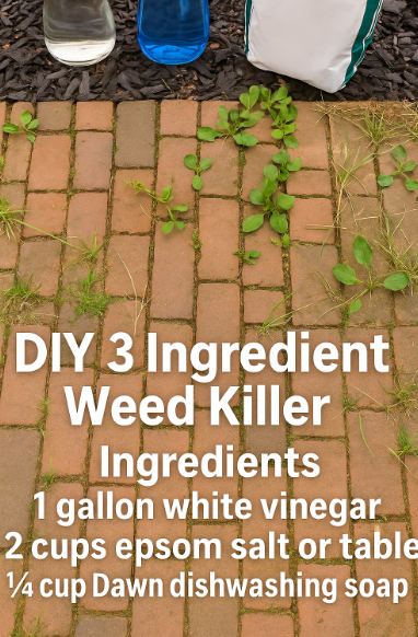 DIY 3 Ingredient Weed Killer
