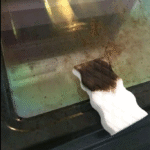 As the weather heats up, I always go for this trick to getting rid of pesky ants