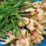 12 Most Cost-Effective Vegetables to Grow