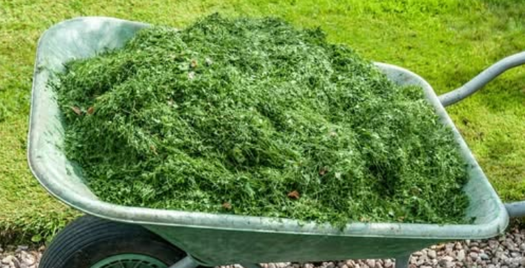 GRASS CLIPPINGS: 15 Ways To Use Them, That Goes Way Beyond Composting