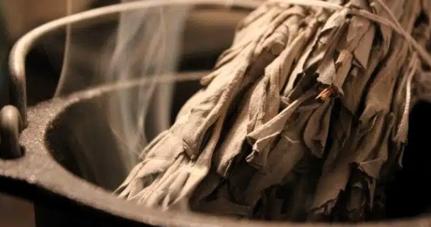 The Science of Smudging: This Is What Sage Does to Bacteria in the Air
