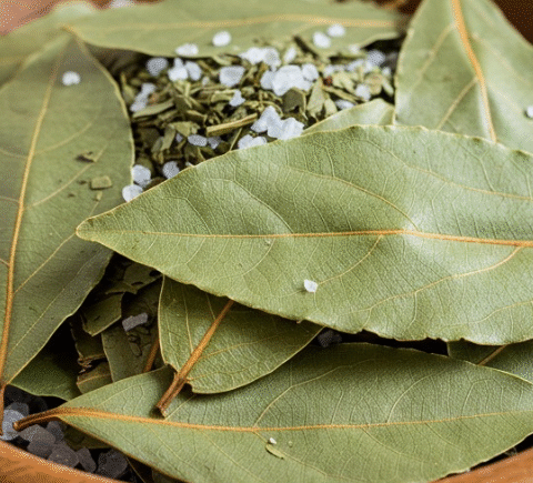 Bay Leaves and Salt: A Mix Worth Gold! My Grandma Taught Me How to Use It