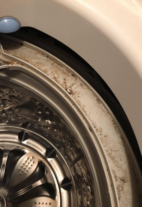 Front Load Washer Smell? Here’s How to Clean It Right!