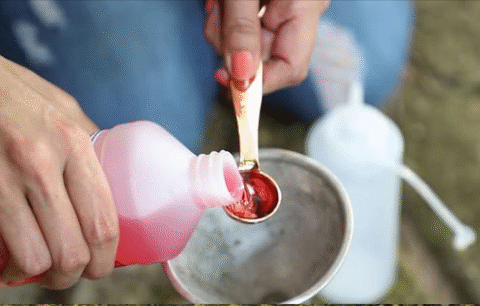 Powerful Weed Killer: 11 Tips to Destroy Weeds Naturally