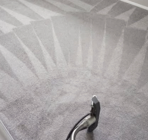 Stair Carpet Care Tips for a Cleaner, Fresher Home