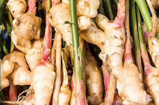 Stop Buying Ginger. Here’s How to Grow an Endless Supply of Ginger Right at Home