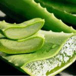 15 Most Common Mistakes You Make When Growing Orchids