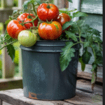 Mix vinegar with two simple and economical