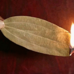 Why You Should Put Cloves in a Lemon: Discover This Powerful Home Remedy