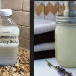 Bye-Bye Bugs: Get Rid of Flies, Mosquitoes, and Cockroaches in Less Than 10 Minutes!