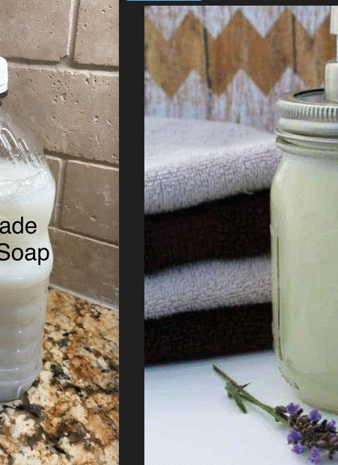 Homemade Liquid Hand Soap recipe