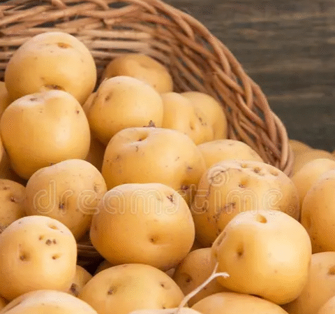 How to Grow Potatoes at Home Using Just One Potato