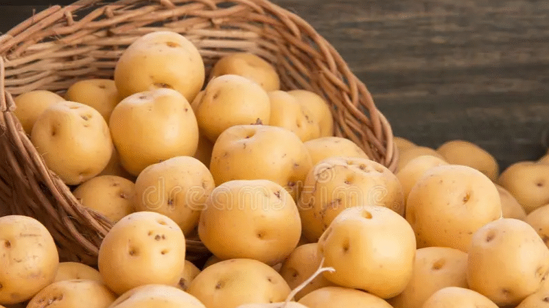 How to Grow Potatoes at Home Using Just One Potato
