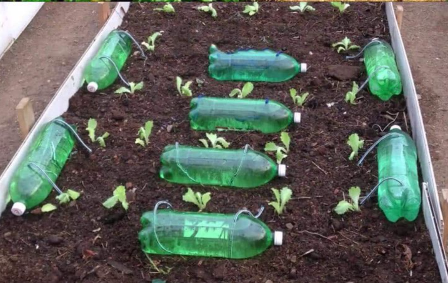 How to make Drip Irrigation with plastic bottles for 15 days of slow drip.