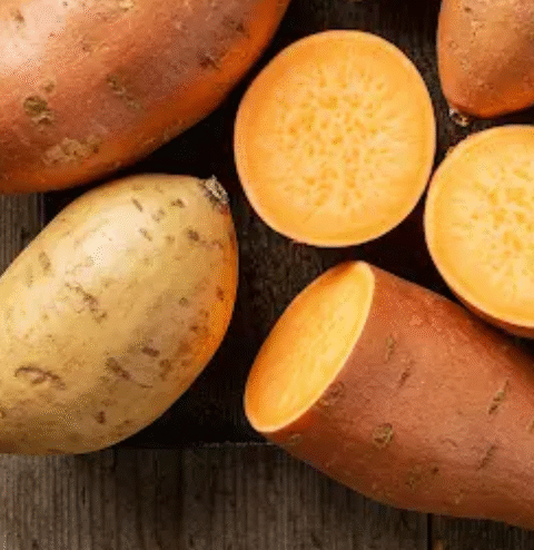 I Had No Soil, No Money… Yet I Grew Tons of Sweet Potatoes!