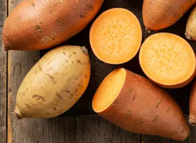 I Had No Soil, No Money… Yet I Grew Tons of Sweet Potatoes!