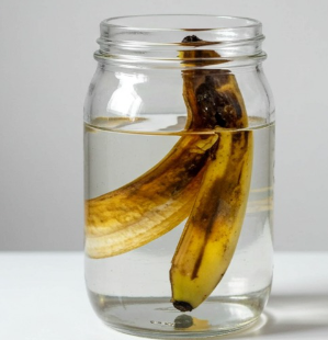 If you water your house plants with this they will be 10 times more lush than now