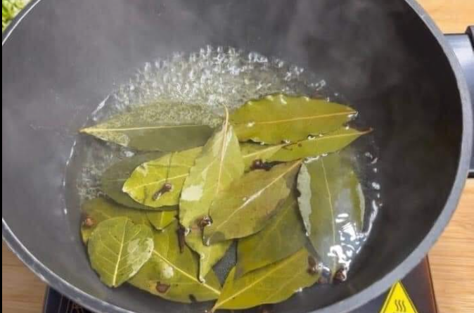 Put this on for 1 hour in your house, you will never see Flies, Mosquitoes or Cockroaches again
