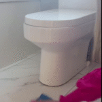 Put this on for 1 hour in your house, you will never see Flies, Mosquitoes or Cockroaches again