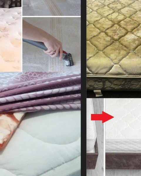 Here’s what’s hiding in your mattress: if you