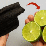 Pour a Liter on the Cucumbers and Your Garden Will Never Be the Same Again: Unique Results