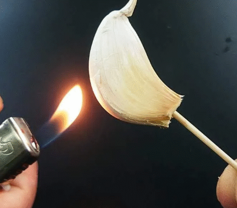 Pure Magic: Burning a Clove of Garlic, What Happens After 15 Minutes at Home?