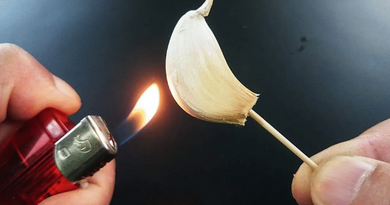 Pure Magic: Burning a Clove of Garlic, What Happens After 15 Minutes at Home?