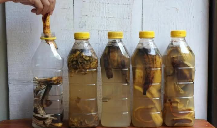 Banana peels: Place them in a bottle. If you use them like this you will never throw them away again