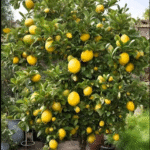 How to make Drip Irrigation with plastic bottles for 15 days of slow drip.