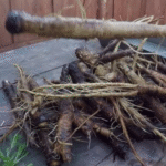 DIY Wattle Raised Garden Bed: Eco-Friendly & Rustic Backyard Project