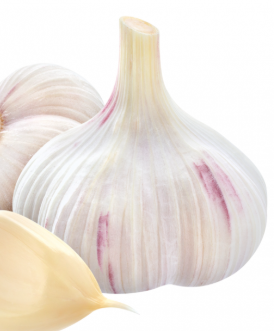 Tips for growing garlic quickly with many roots in Plastic Wastebasket