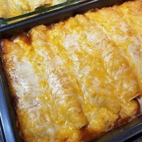 Cream Cheese Chicken Enchiladas