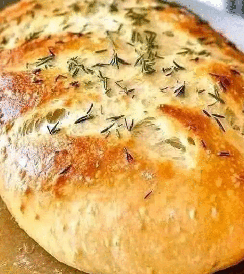 The Bread That Drives Everyone Crazy: No-Knead Garlic Bread Recipe