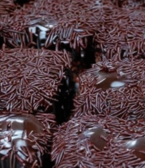 The Best Chocolate Cake with Brigadeiro: A Mouth-Watering Delight