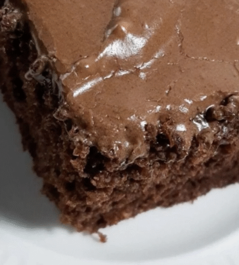 Chocolate Depression Cake: Rich, Moist, and Timelessly Comforting