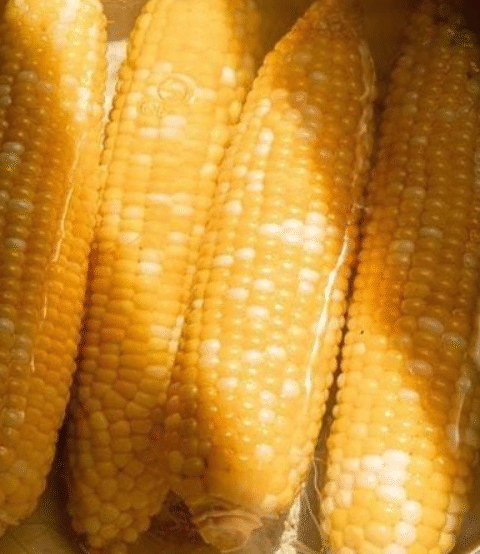 How to Boil Corn on the Cob: A Simple Step-by-Step Guide