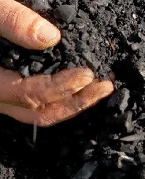 Black Liquid GOLD Turns Soil ALIVE! How to Make Biochar Liquid Fertilizer — A Sustainable Boost for Your Garden