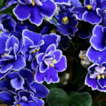 Say goodbye to pests with baking soda!