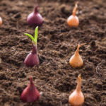 The Secret to Pruning Tomatoes for Maximum Growth – Avoid This Critical Mistake!