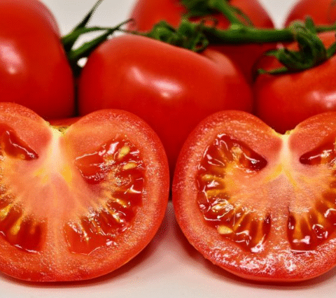 I will grow tomatoes this way to get the highest yield without much care