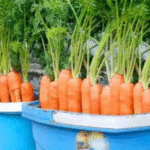 The Secret to Pruning Tomatoes for Maximum Growth – Avoid This Critical Mistake!