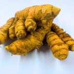 Grape Hyacinth (Muscari): A Tiny Spring Wonder with Surprising Benefits and Uses