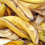 7 benefits and uses of Plantago Major