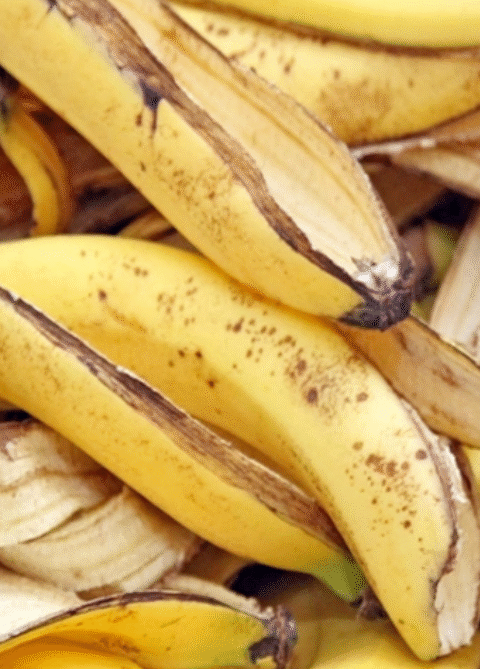 How to Use Banana Peels and Boric Acid to Control Ants Naturally in Your Garden